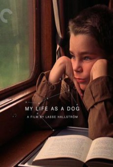My Life as a Dog (Mitt liv som hund) (1985) บรรยายไทย