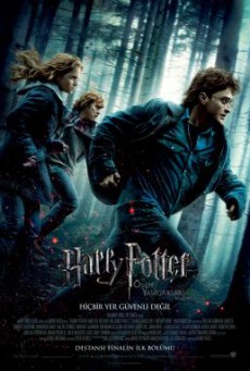 Harry Potter 7.1 and the Deathly Hallows Part 1 แฮร์รี่ พอตเตอร์ กับ เครื่องรางยมฑูต (2010)